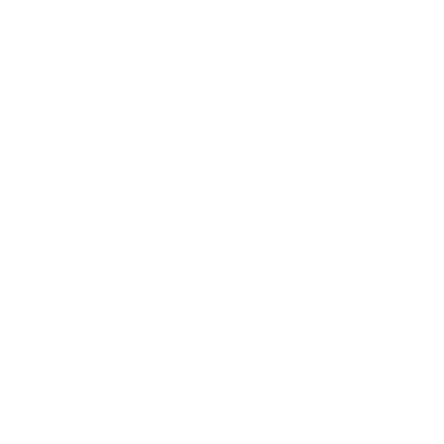Checklist icon