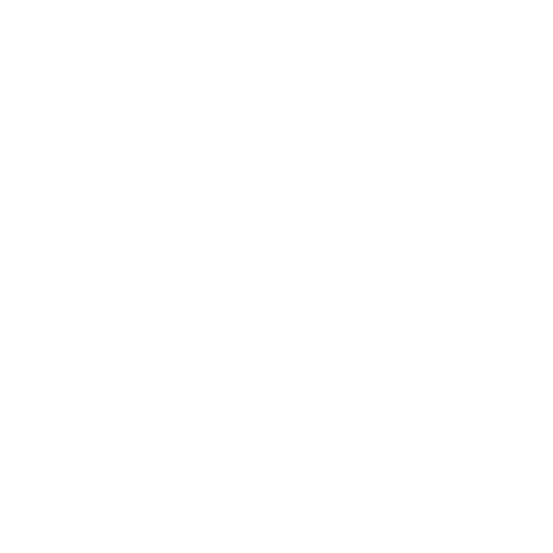 Team icon